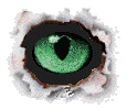a_eye