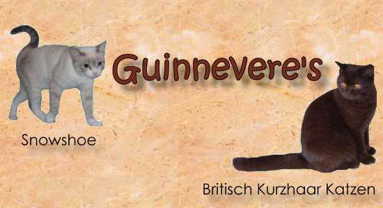 guinnevere_logo